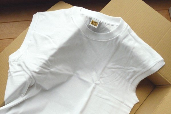 SiSSiSO-LAB☆G.T.HAWKINS 100% COTTON サーフシャツ（ノースリーブシャツ）。