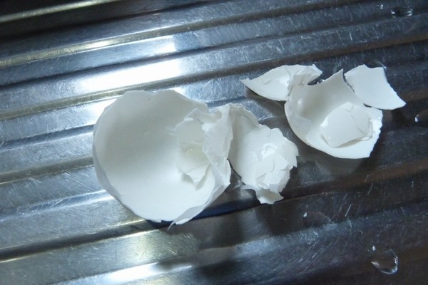 SiSO-LAB☆ダイソーたまごプッチン穴あけ器で上手にゆで卵実験。お尻にヒビを入れた卵、むいた殻もきれい。