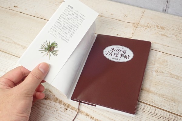 SiSO-LAB☆文庫簿サイズのポケット図鑑、木の実さんぽ手帖。