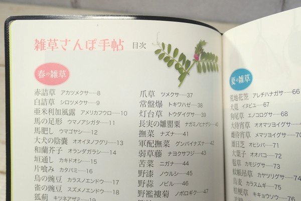 SiSO-LAB☆文庫簿サイズのポケット図鑑、雑草さんぽ手帖。目次。