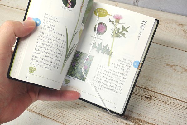 SiSO-LAB☆文庫簿サイズのポケット図鑑、雑草さんぽ手帖。しおり。
