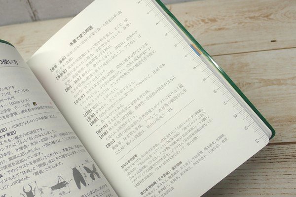 SiSO-LAB☆文庫簿サイズのポケット図鑑、昆虫さんぽ手帖。目次。