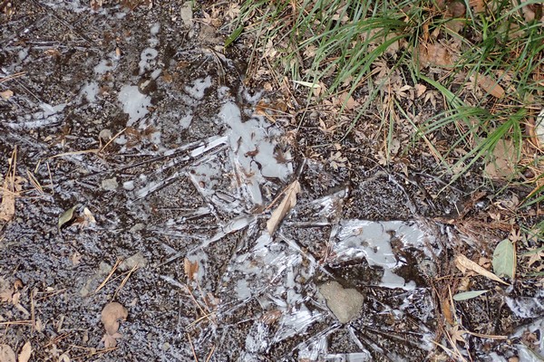 SiSO-LAB☆山ランチ、ポケットストーブでカルボナーラポテト。まだ地面は凍っているよ。