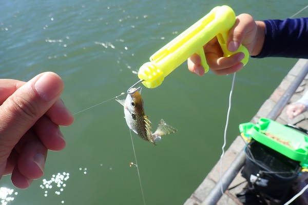 日本製！釣った魚に触らず針を外せる、ヤマシタはずしっこⅢ、確かに 