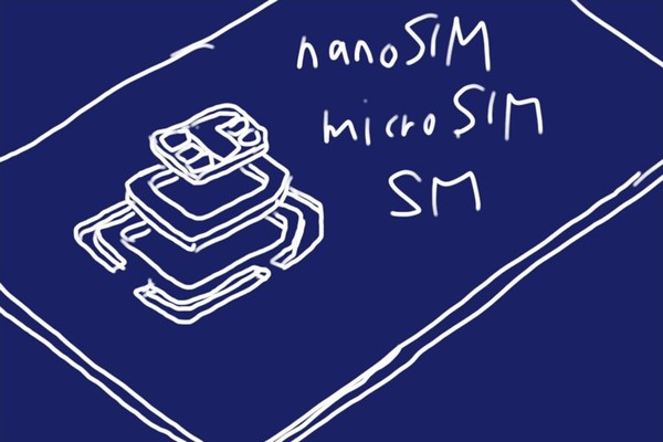 SiSO-LAB☆IIJmio SIMカードサイズ変更（再発行）。