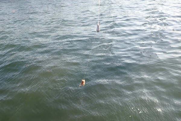 SiSO-LAB☆釣・ディープマリン（ロケットカゴ）を改造、水中で立たせてみる。釣り場で実験。飽きてオモリと釣針のシンプル仕掛けでオキアミで釣り。