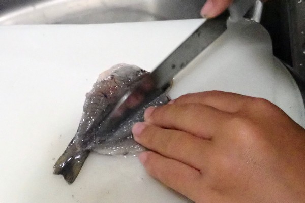SiSO-LAB☆100均小出刃包丁で魚を三枚おろし。SiSO-Jr.2も手伝ってくれる。