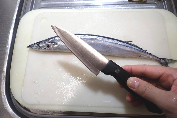 SiSO-LAB☆100均小出刃包丁で魚を三枚おろし。まずは頭から落としていこう。