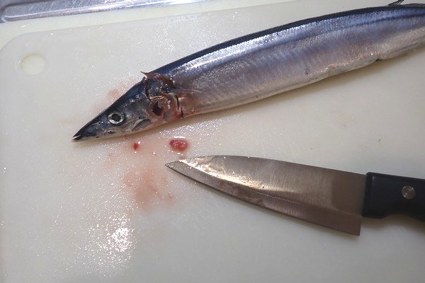 SiSO-LAB☆100均小出刃包丁で魚を三枚おろし。内臓が抜けるように…。