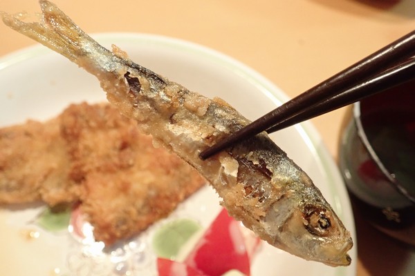 SiSO-LAB☆釣り サッパはまるごとボリボリと食べちゃう。
