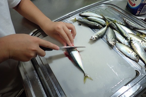SiSO-LAB☆子どもが魚を捌いてくれる。