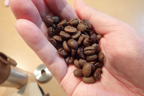 コーヒー豆　６０粒